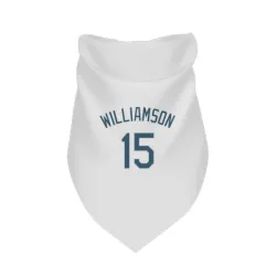 Tampa Bay Rays Ben Williamson White Pet Bandana for Dog & Cat