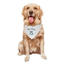 Tampa Bay Rays Ben Williamson White Pet Bandana for Dog & Cat