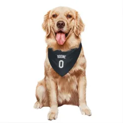 Tampa Bay Rays Caden Bodine Black Pet Bandana for Dog & Cat