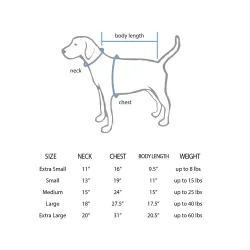 Tampa Bay Rays Caden Bodine Black Pet Jersey for Dog & Cat