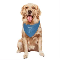 Tampa Bay Rays Caden Bodine Light Blue Pet Bandana for Dog & Cat