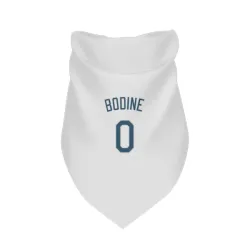 Tampa Bay Rays Caden Bodine White Pet Bandana for Dog & Cat