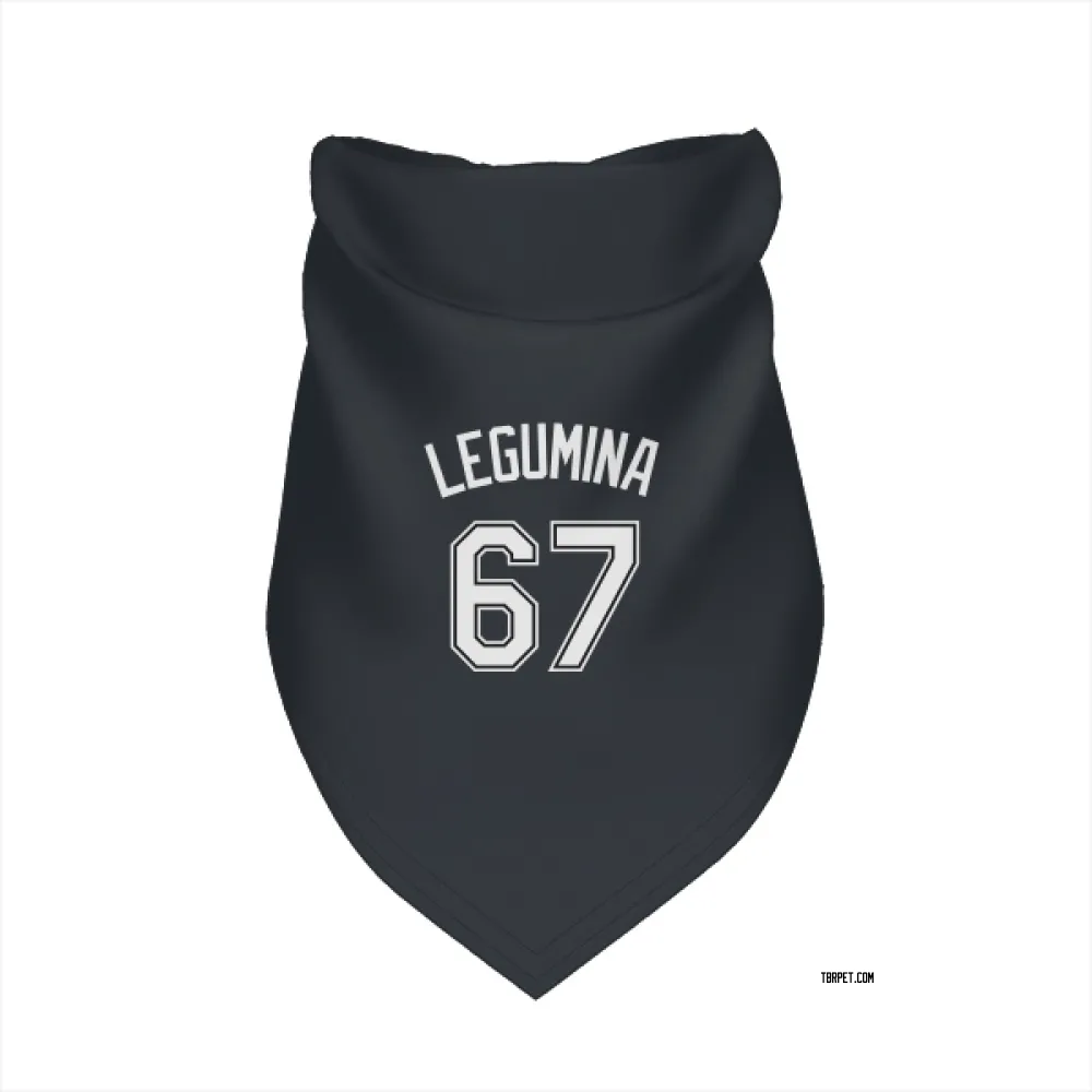 Tampa Bay Rays Casey Legumina Black Pet Bandana for Dog & Cat