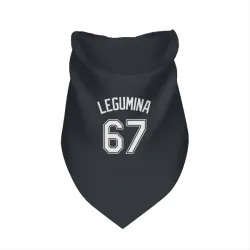 Tampa Bay Rays Casey Legumina Black Pet Bandana for Dog & Cat
