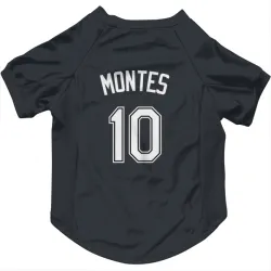 Tampa Bay Rays Coco Montes Black Pet Jersey for Dog & Cat