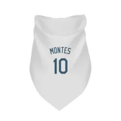 Tampa Bay Rays Coco Montes White Pet Bandana for Dog & Cat