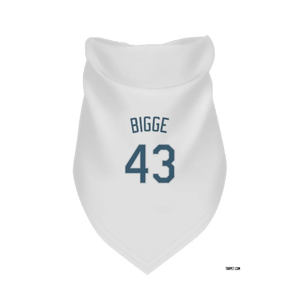 Tampa Bay Rays Hunter Bigge White Pet Bandana for Dog & Cat