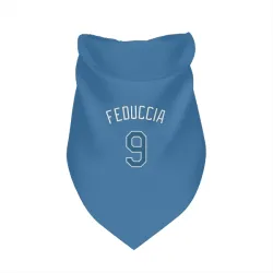 Tampa Bay Rays Hunter Feduccia Light Blue Pet Bandana for Dog & Cat