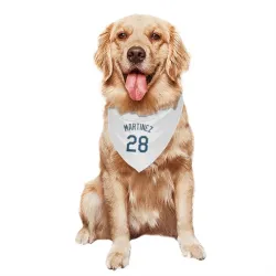 Tampa Bay Rays Nick Martinez White Pet Bandana for Dog & Cat