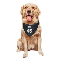 Tampa Bay Rays Osvaldo Bido Black Pet Bandana for Dog & Cat