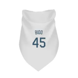 Tampa Bay Rays Osvaldo Bido White Pet Bandana for Dog & Cat