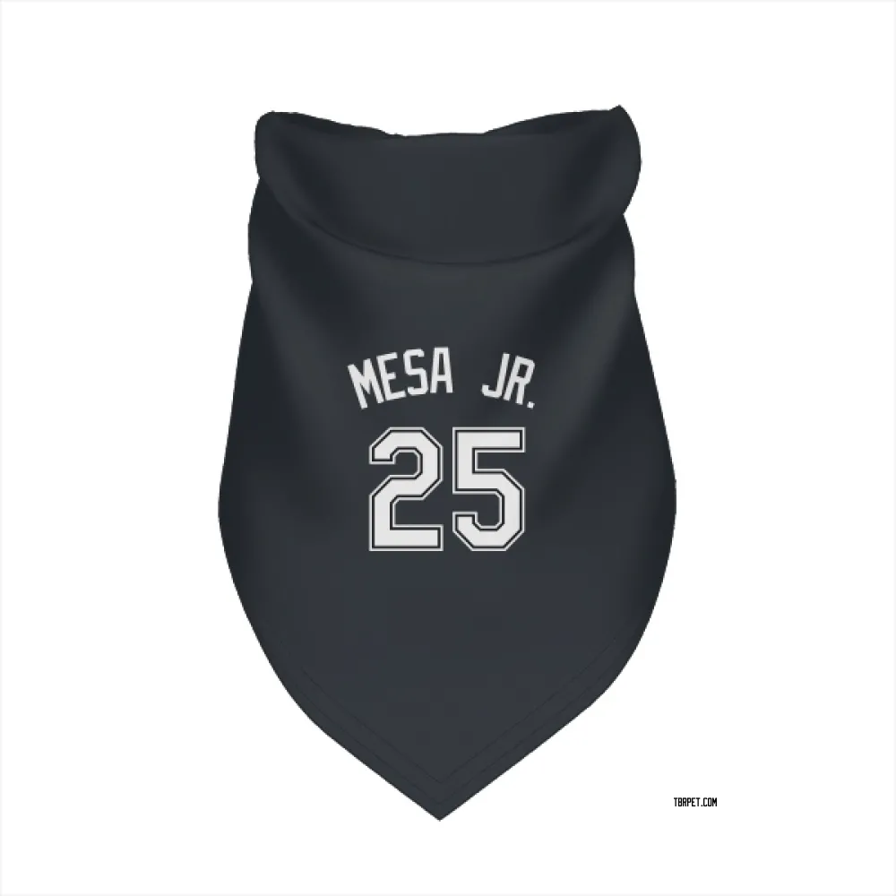 Tampa Bay Rays Victor Mesa Jr. Black Pet Bandana for Dog & Cat
