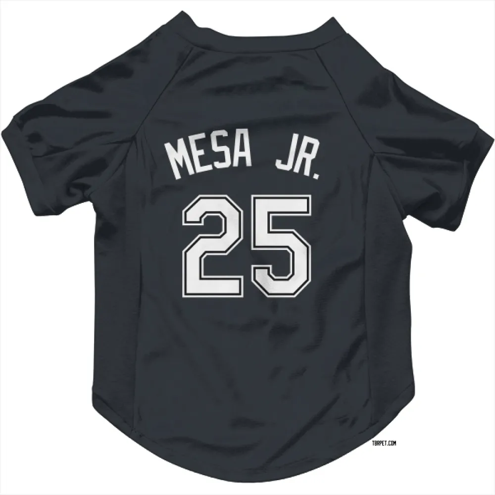 Tampa Bay Rays Victor Mesa Jr. Black Pet Jersey for Dog & Cat
