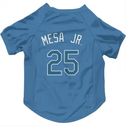 Tampa Bay Rays Victor Mesa Jr. Light Blue Pet Jersey for Dog & Cat