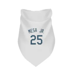 Tampa Bay Rays Victor Mesa Jr. White Pet Bandana for Dog & Cat