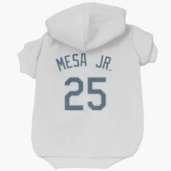 Tampa Bay Rays Victor Mesa Jr. White Pet Hoodie for Dog & Cat