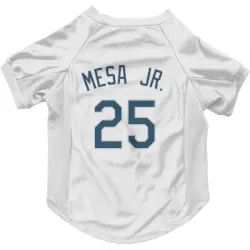 Tampa Bay Rays Victor Mesa Jr. White Pet Jersey for Dog & Cat